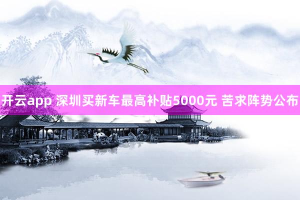 开云app 深圳买新车最高补贴5000元 苦求阵势公布