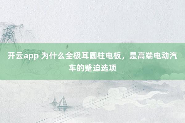 开云app 为什么全极耳圆柱电板，是高端电动汽车的蹙迫选项