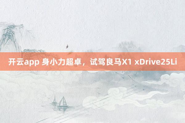 开云app 身小力超卓,试驾良马X1 xDrive25Li