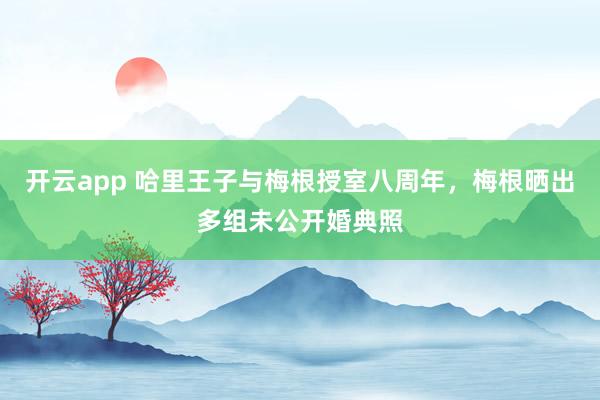 开云app 哈里王子与梅根授室八周年,梅根晒出多组未公开婚典照