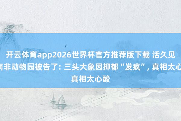 开云体育app2026世界杯官方推荐版下载 活久见! 南非动物园被告了: 三头大象因抑郁“发疯”， 真相太心酸