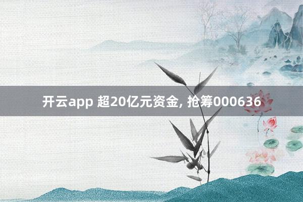 开云app 超20亿元资金, 抢筹000636