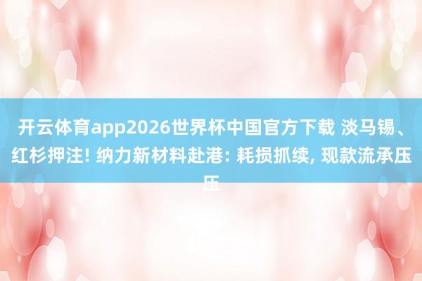 开云体育app2026世界杯中国官方下载 淡马锡、红杉押注! 纳力新材料赴港: 耗损抓续, 现款流承压