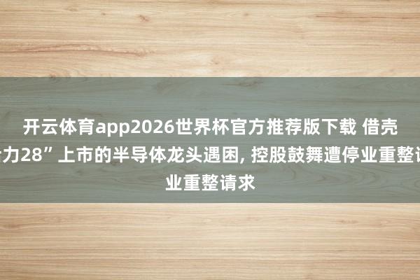 开云体育app2026世界杯官方推荐版下载 借壳“活力28”上市的半导体龙头遇困, 控股鼓舞遭停业重整请求