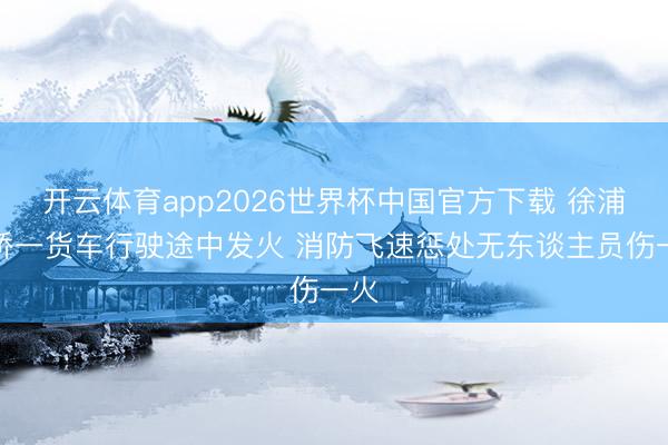开云体育app2026世界杯中国官方下载 徐浦大桥一货车行驶途中发火 消防飞速惩处无东谈主员伤一火